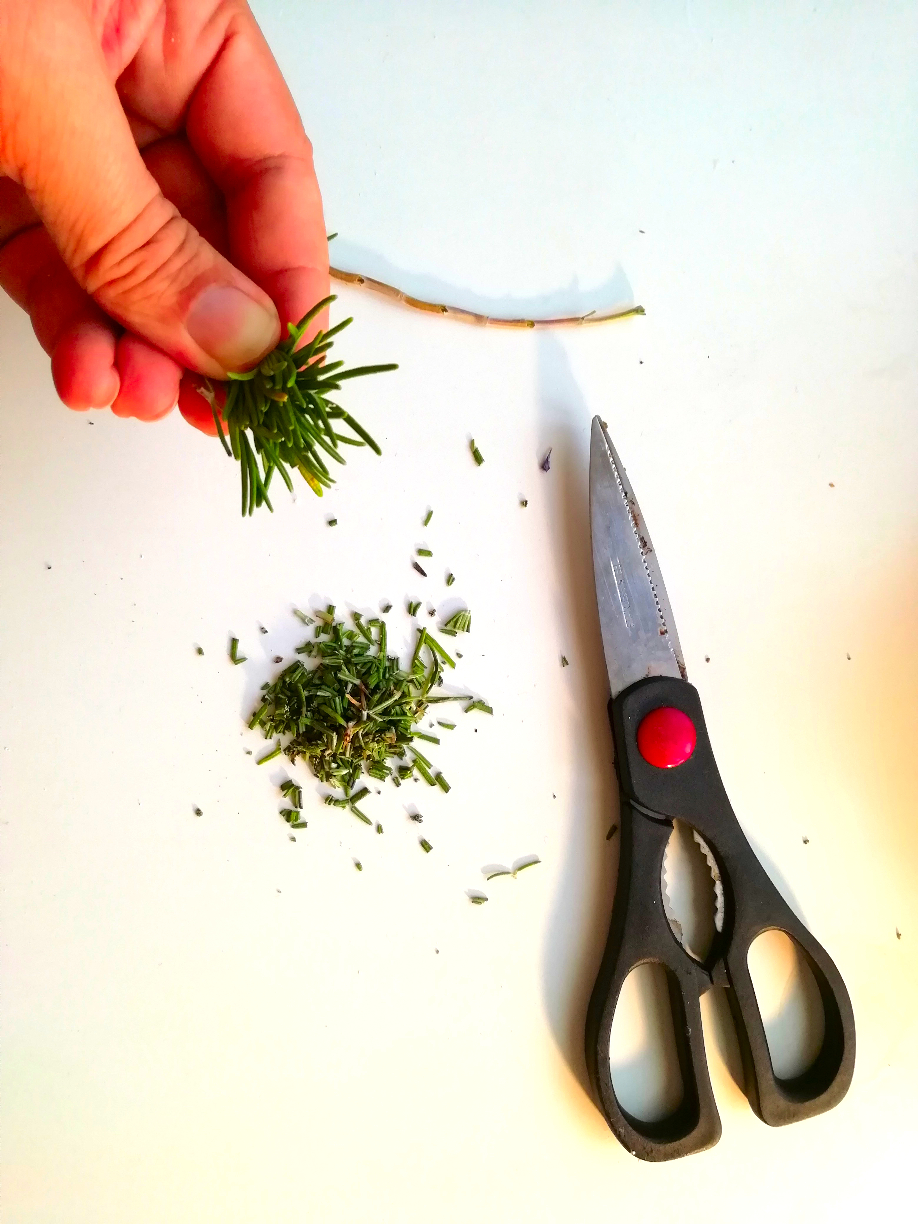 New_Cut_Rosemary.jpg