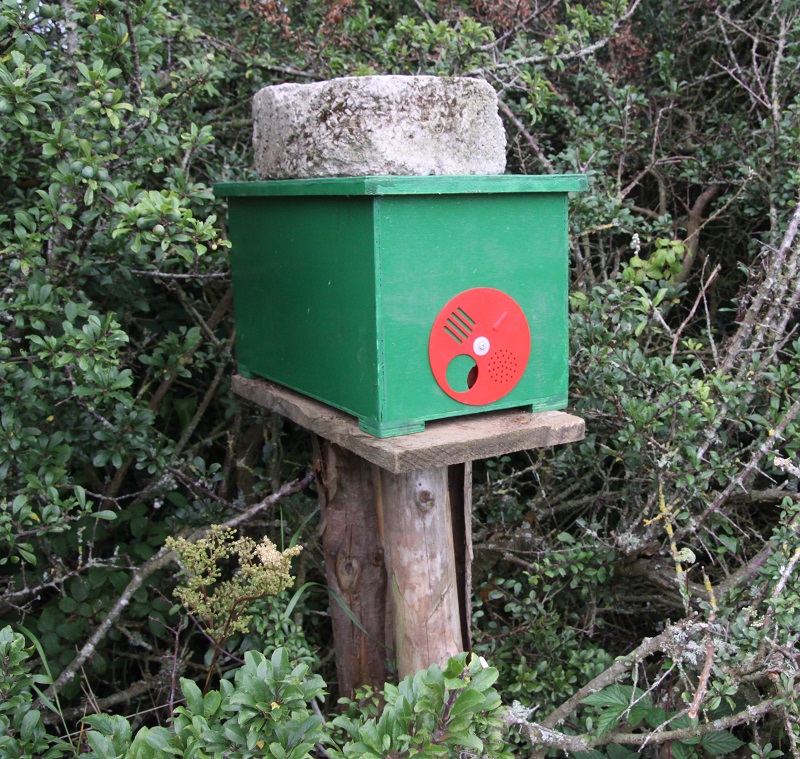 Nucleus beehive swarm honey bee catch hive on fence post stand 03.jpg