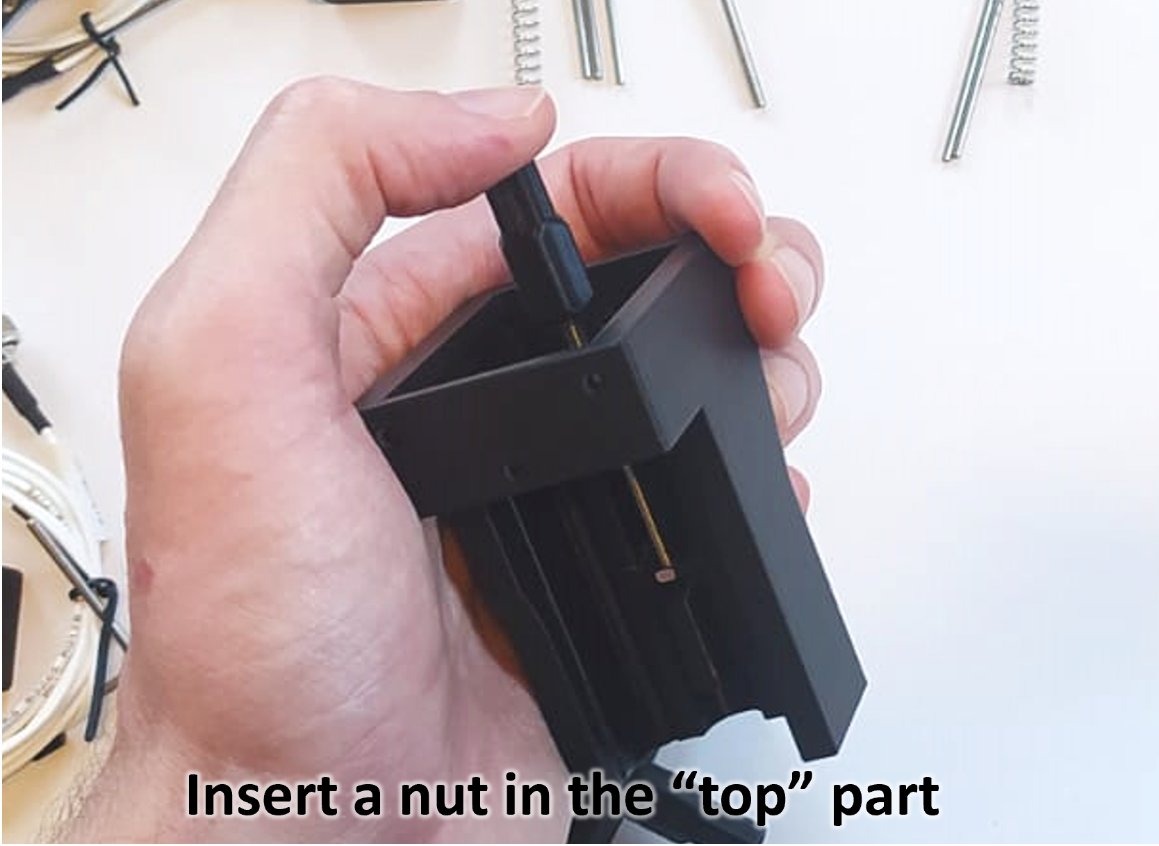 Nut top.png
