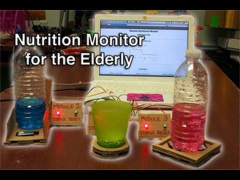 Nutrition Monitor for the Elderly