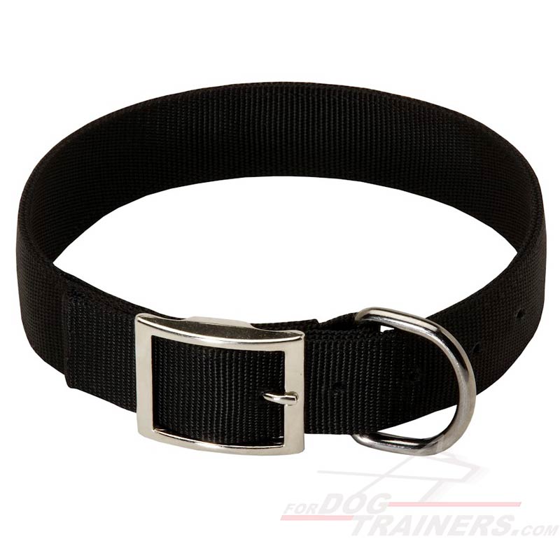 Nylon-Dog-Collar-C40-big.jpg