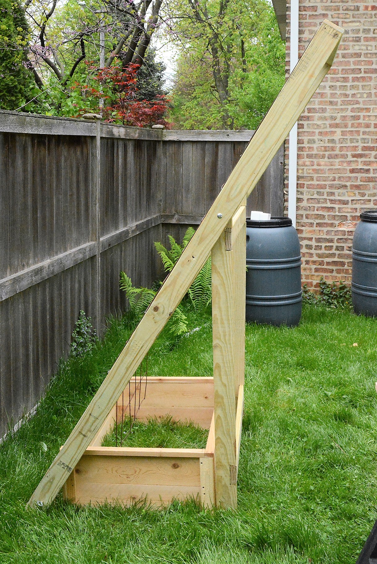 ON3_5419-trellis-sideviewtophole.JPG