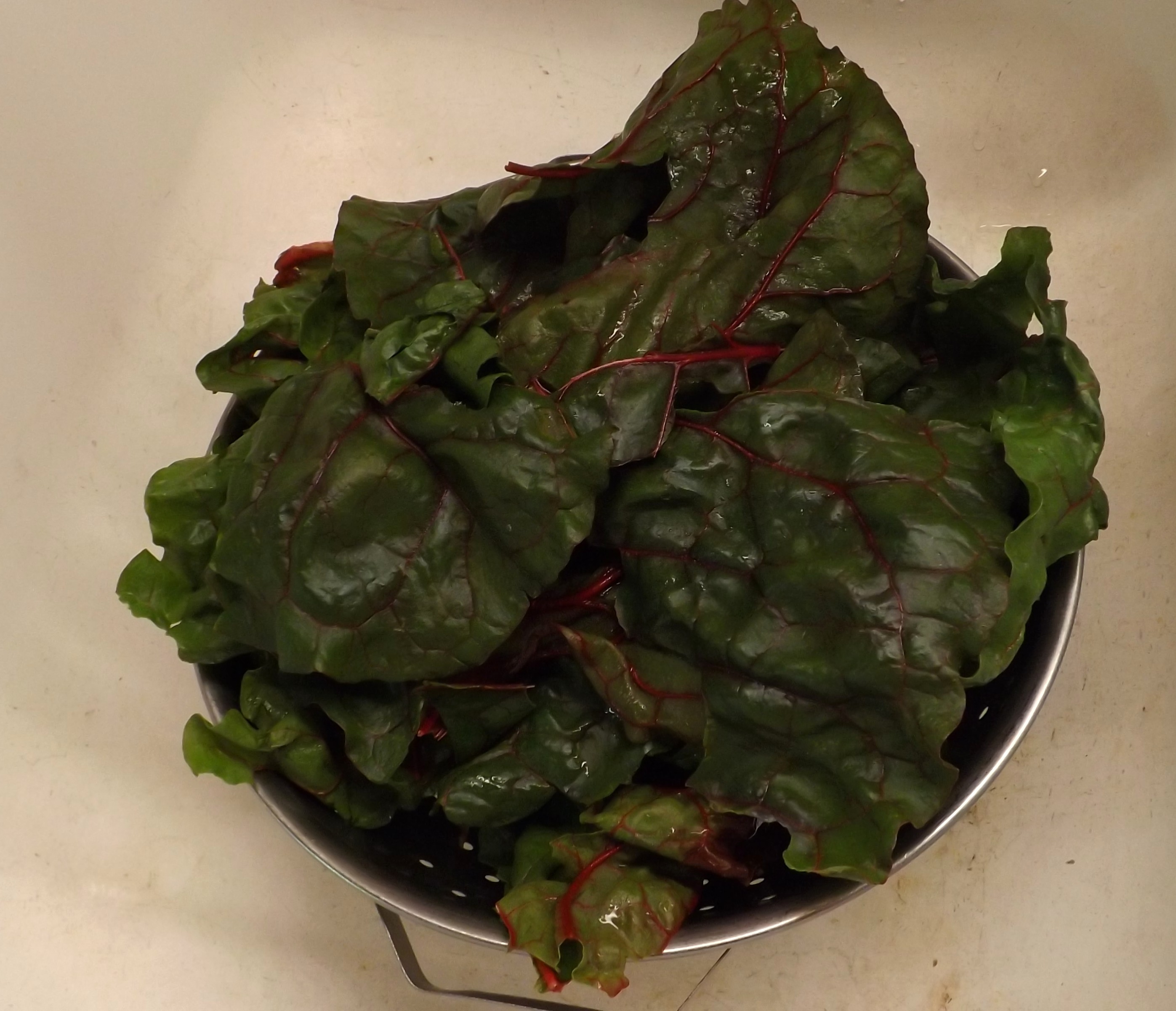 ORGANIC RED CHARD SALAD WITH GRILLED WILD STEELHEAD TROUT 010.JPG