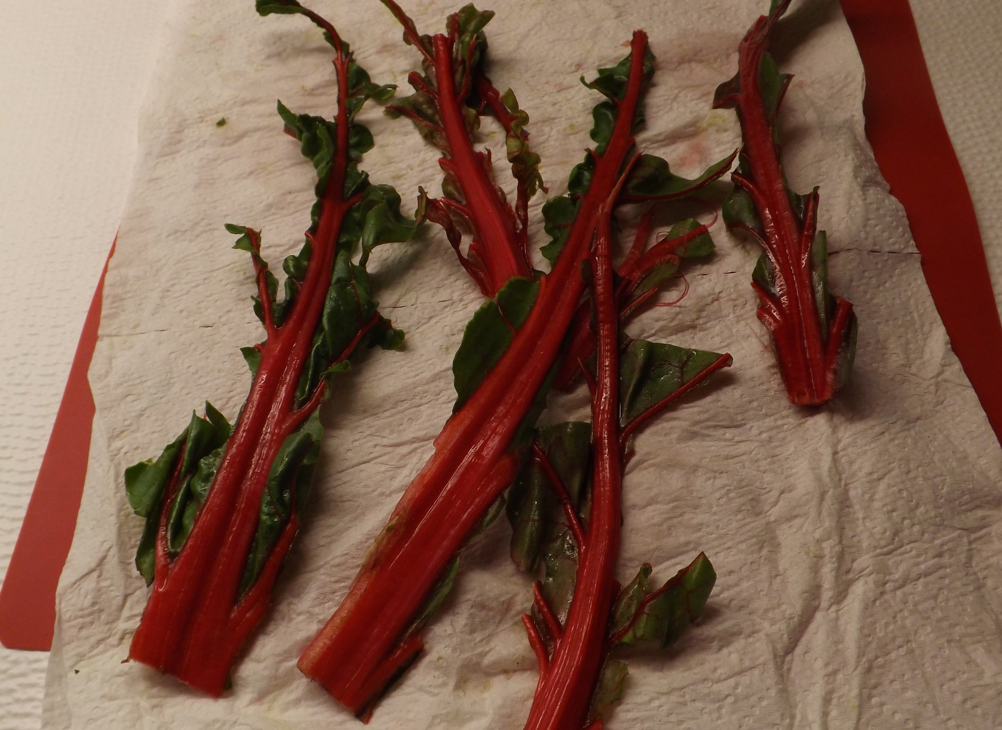 ORGANIC RED CHARD SALAD WITH GRILLED WILD STEELHEAD TROUT 011.JPG