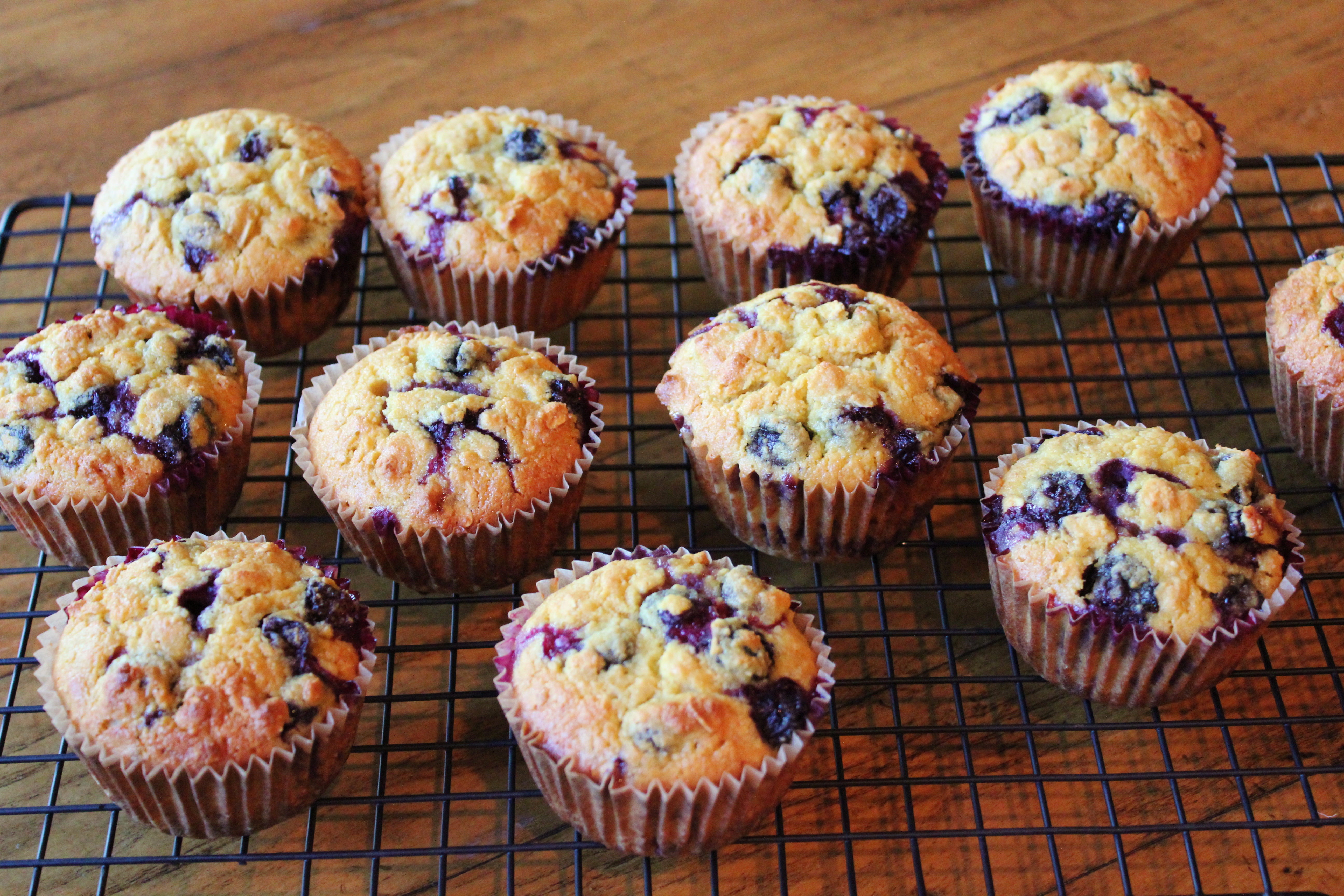 Oatmeal Blueberry Muffins with Coconut Flour.JPG