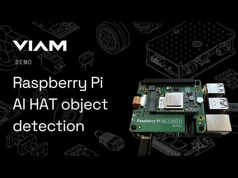 Object Detection with Raspberry Pi AI HAT | DEMO