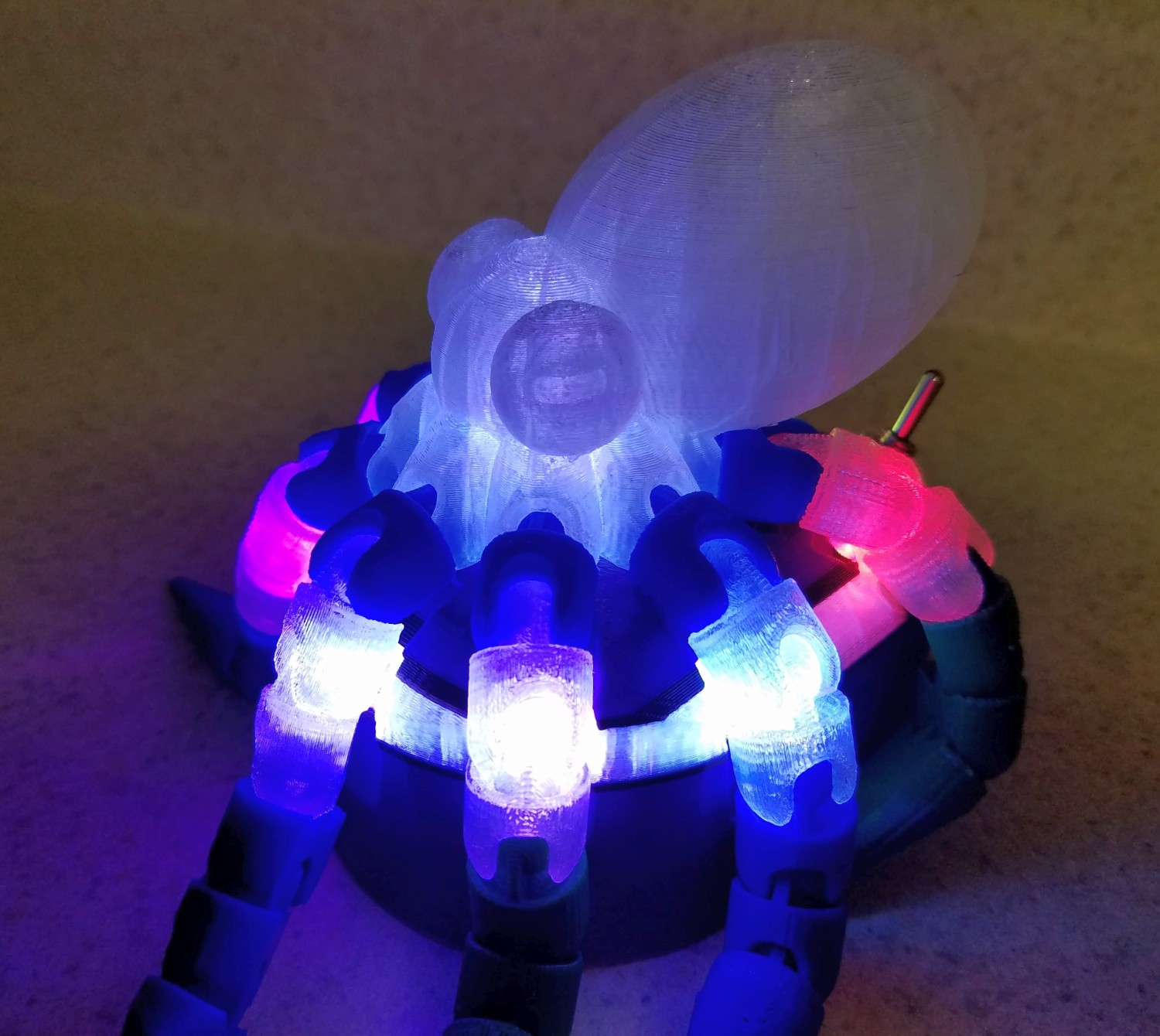 Octopus illuminated.jpg