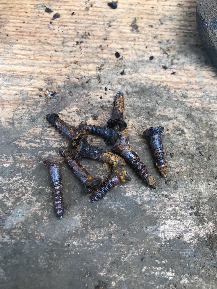 Old rusty screws.JPG