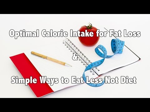 Optimal Calorie Intake for Best Fat Loss Results