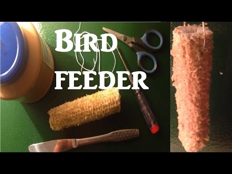 Organic natural Corn on the cob garden Bird Feeder life hack tip trick