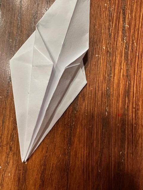 Origami 5.5.jpg