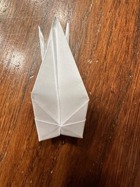 Origami 8.5.jpg