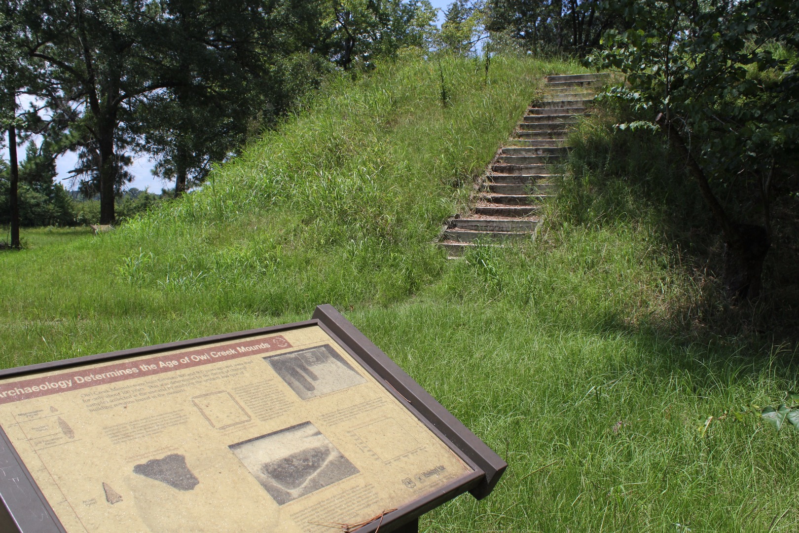 Owl Mound.jpg