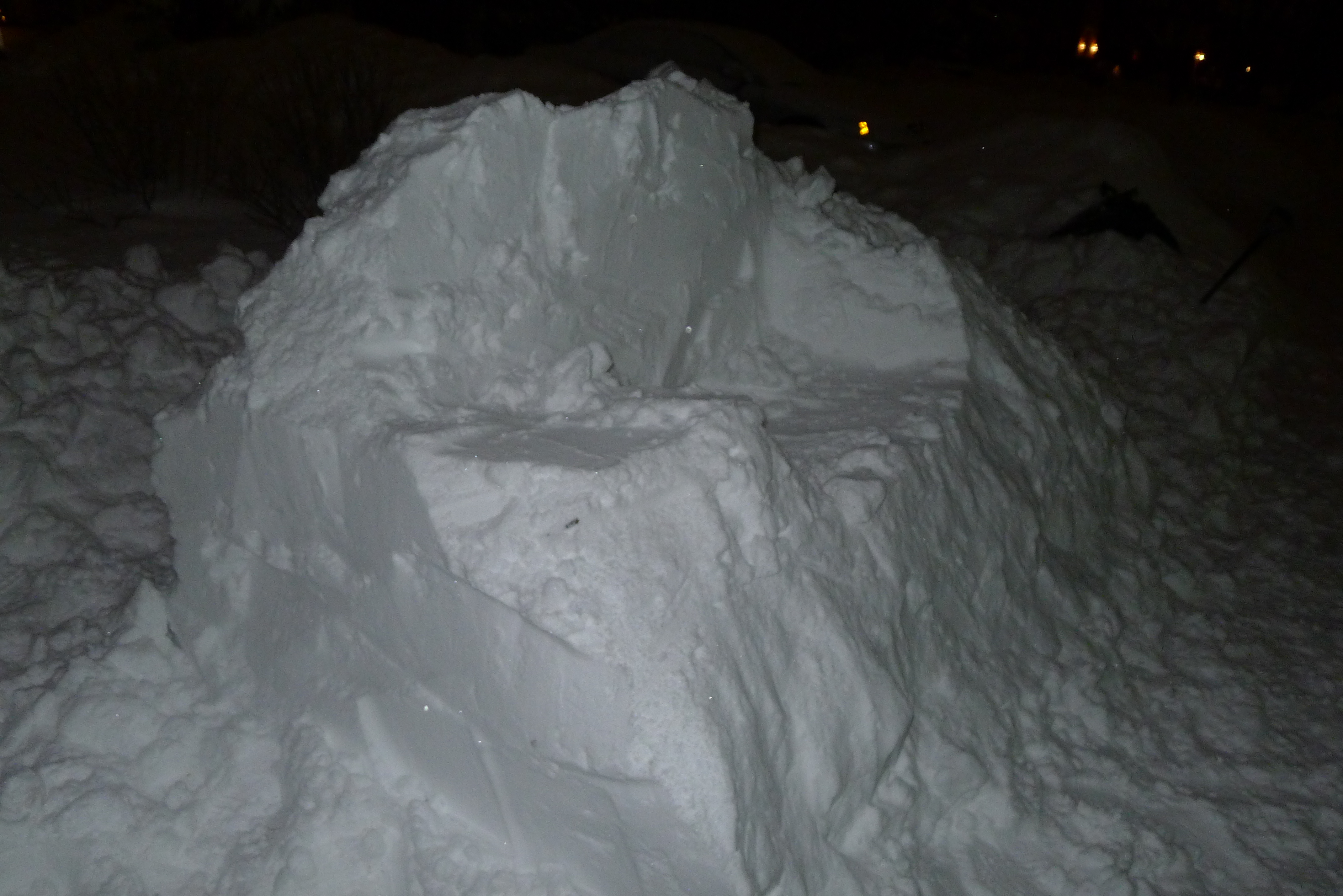 P1000500.JPG