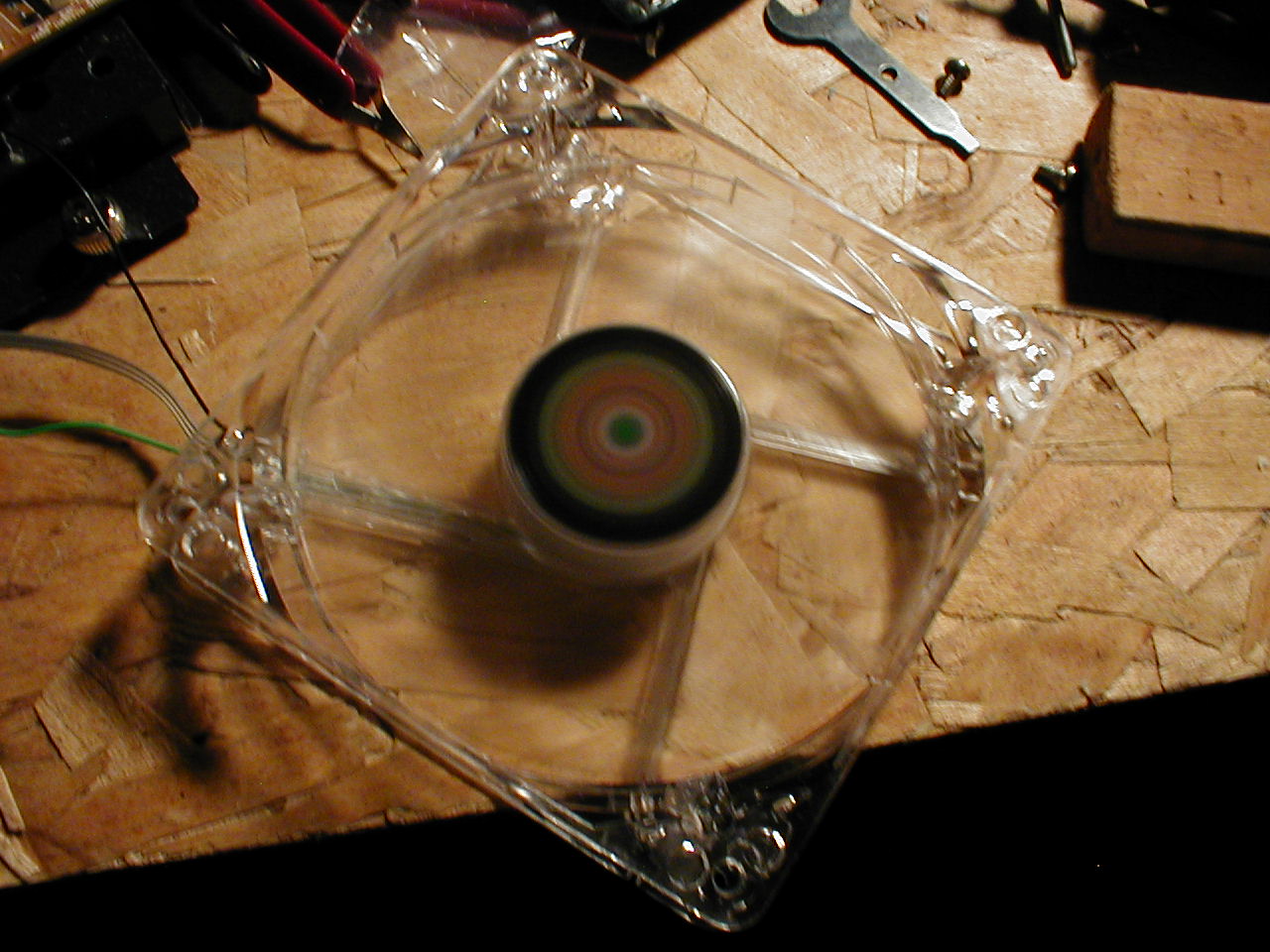 P1010027.JPG