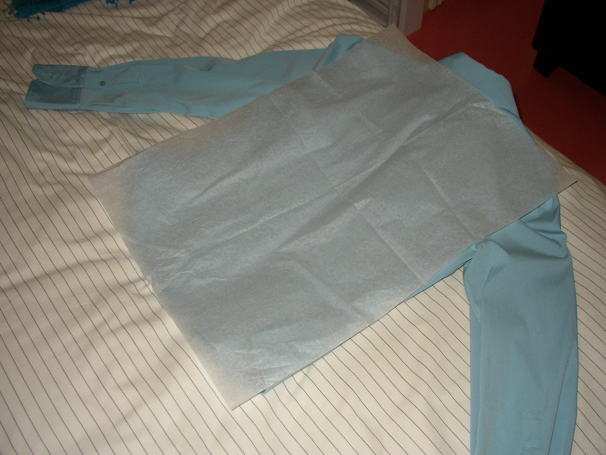 P1010033.JPG