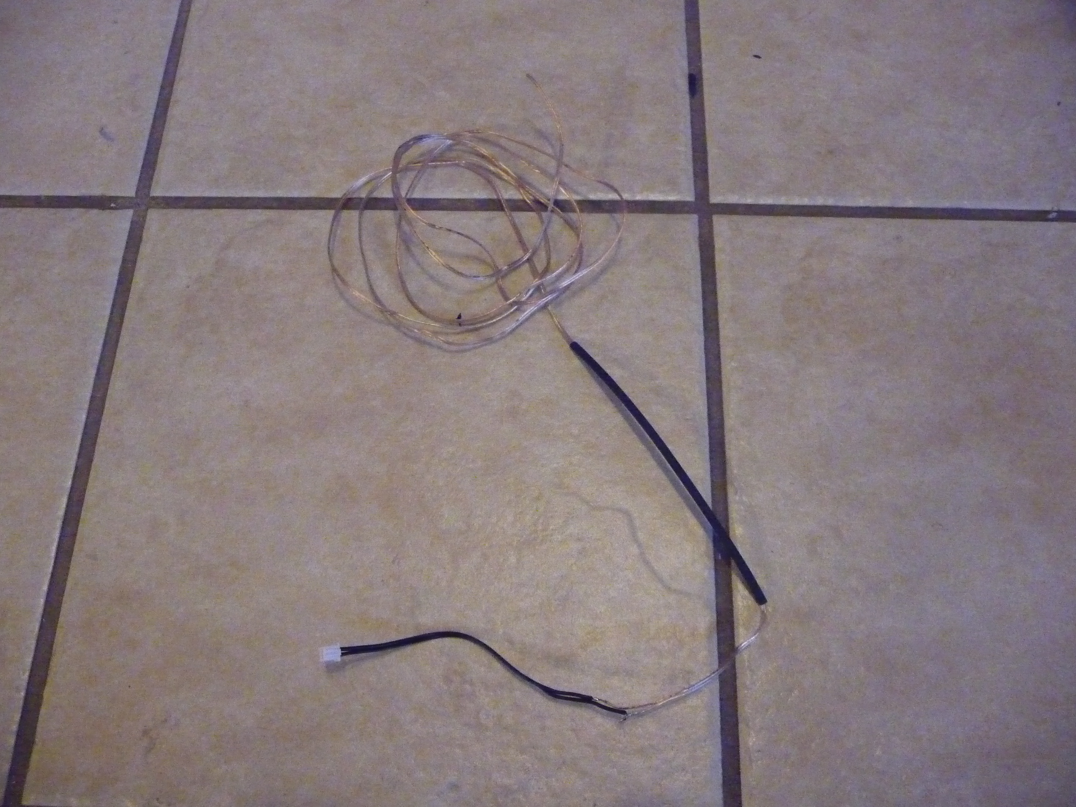 P1010320.JPG