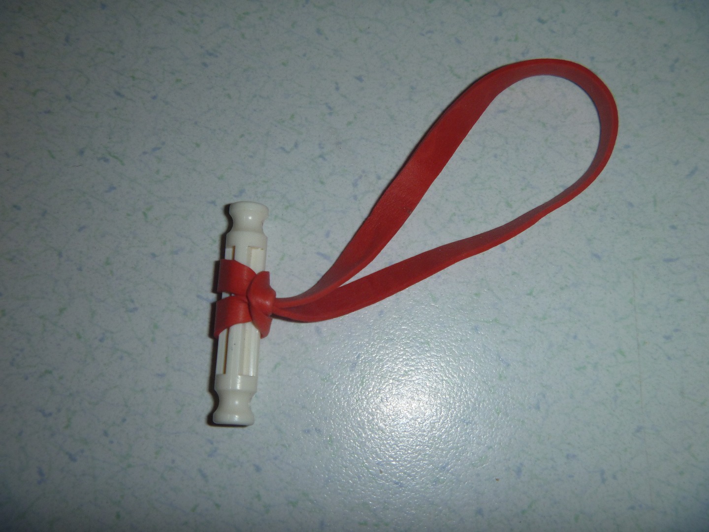 P1010615.JPG
