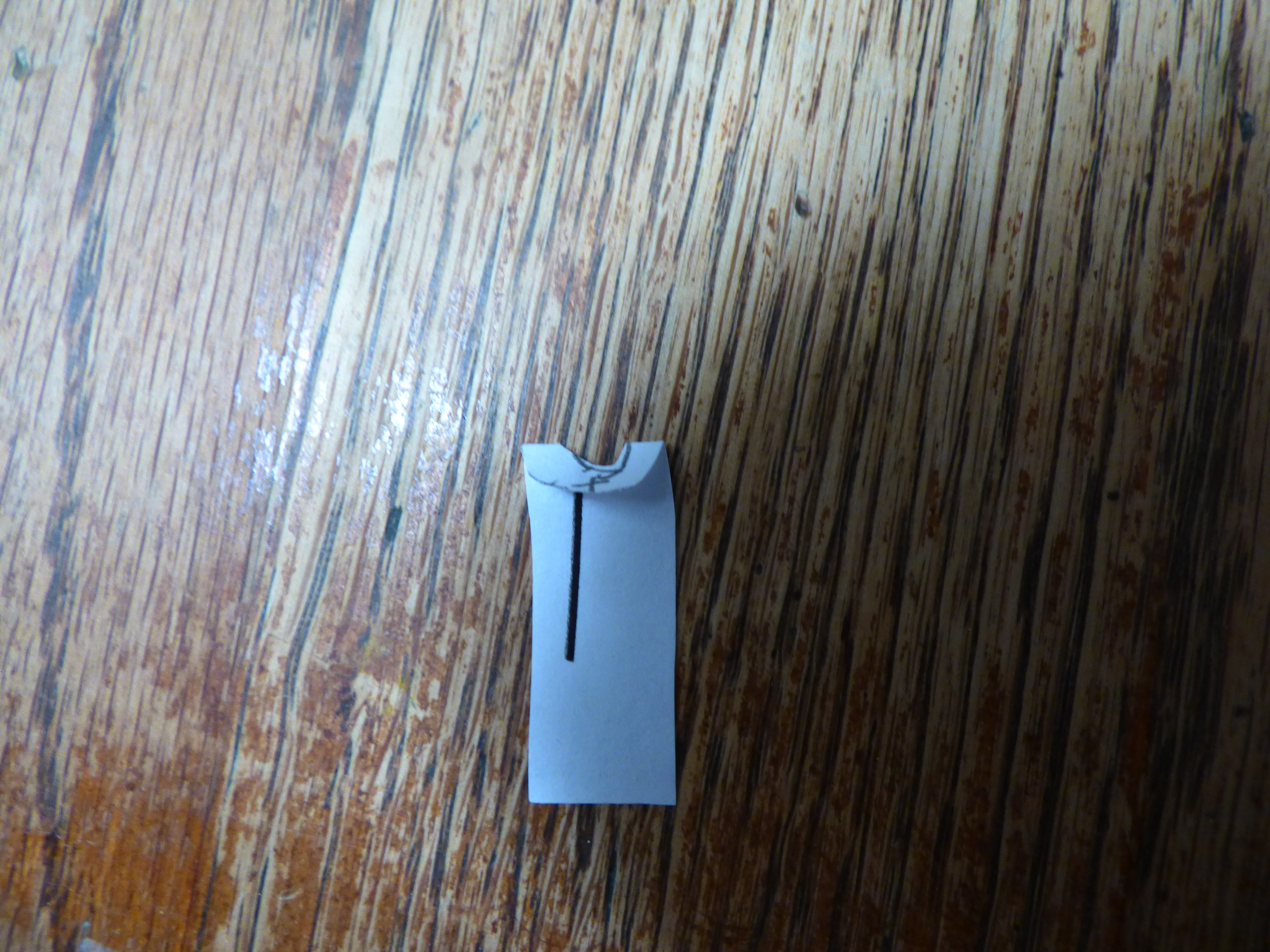 P1010615.JPG