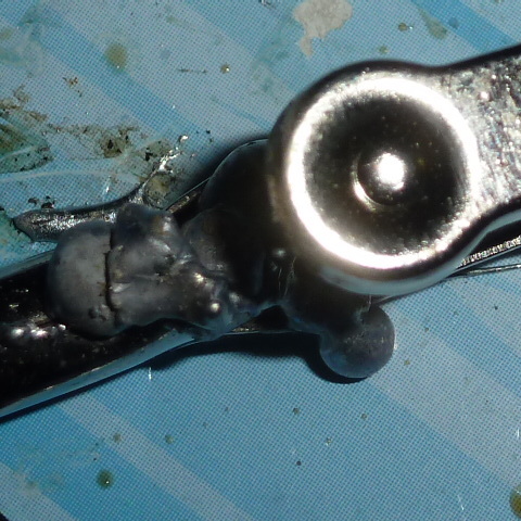 P1020867.JPG