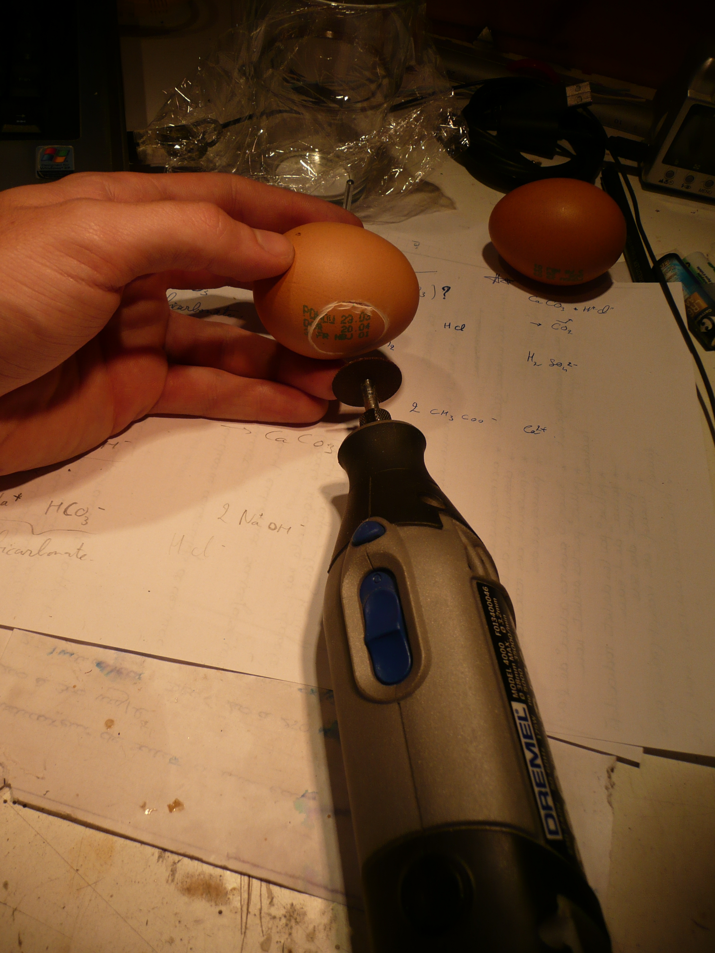 P1050219.JPG