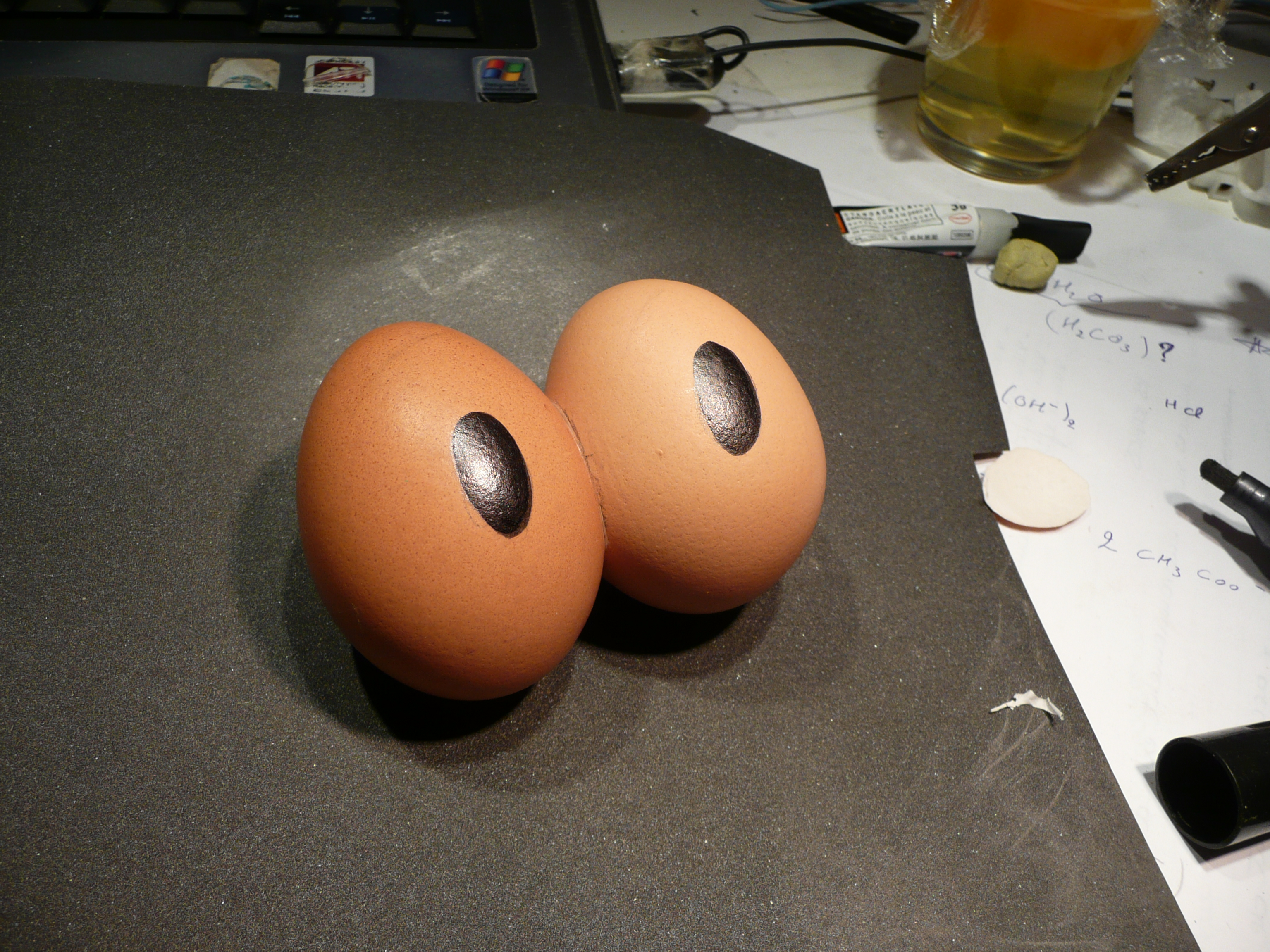 P1050257.JPG
