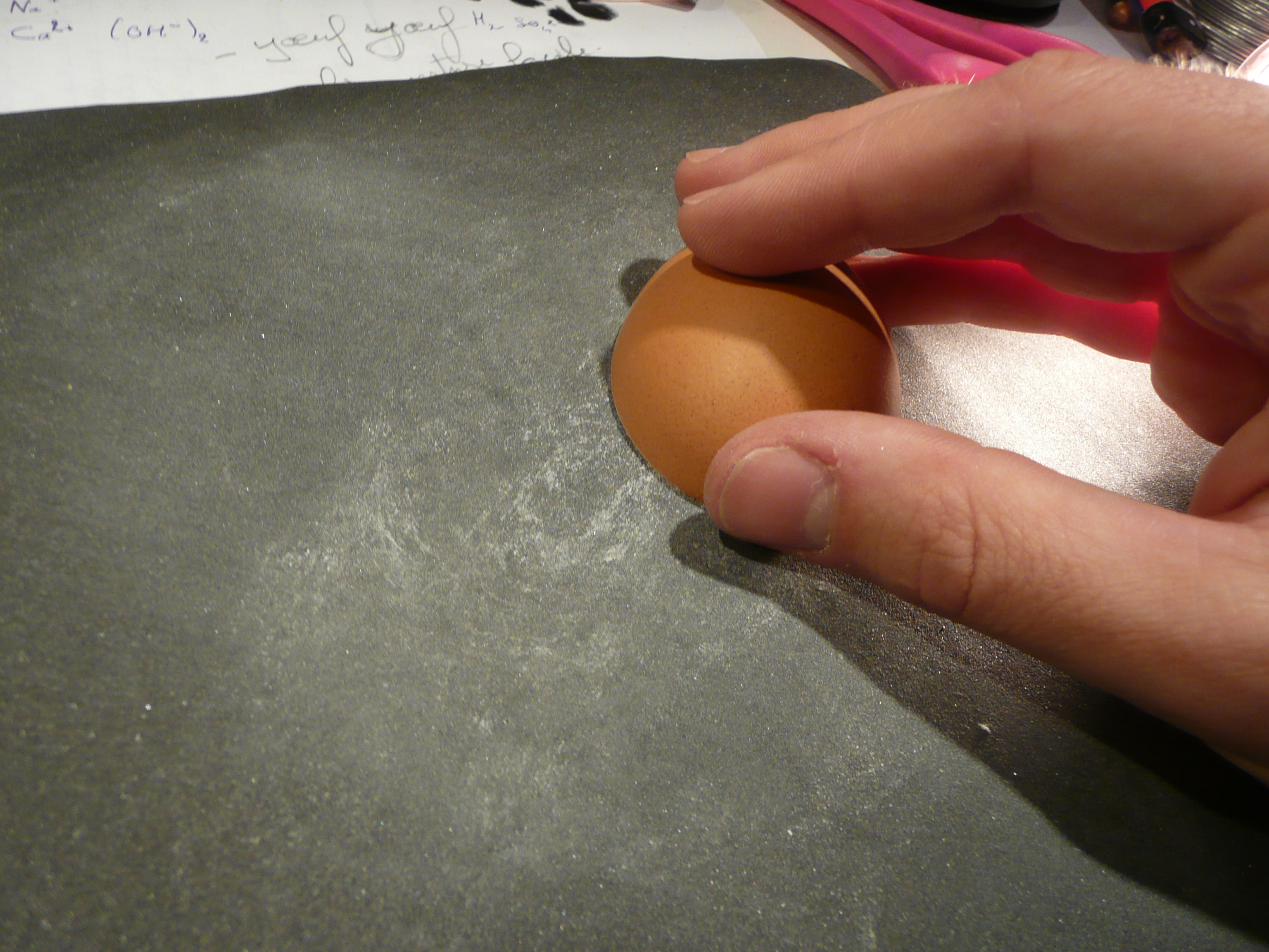 P1050356.JPG