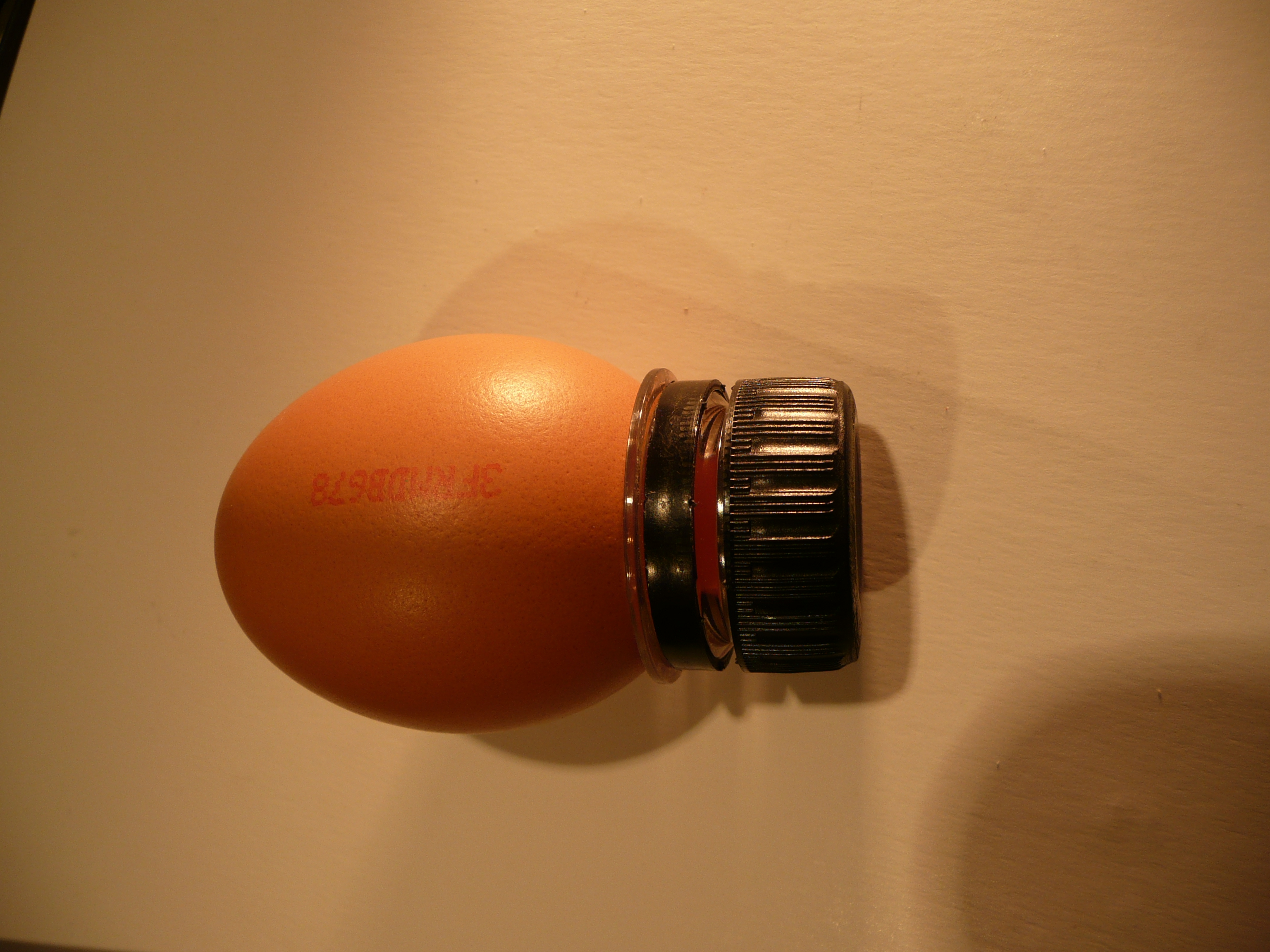 P1050481.JPG