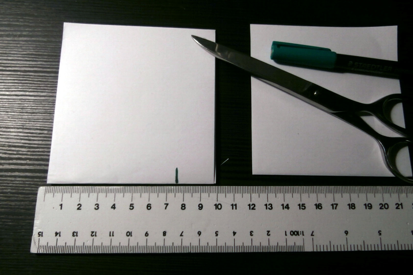 P1080005.JPG