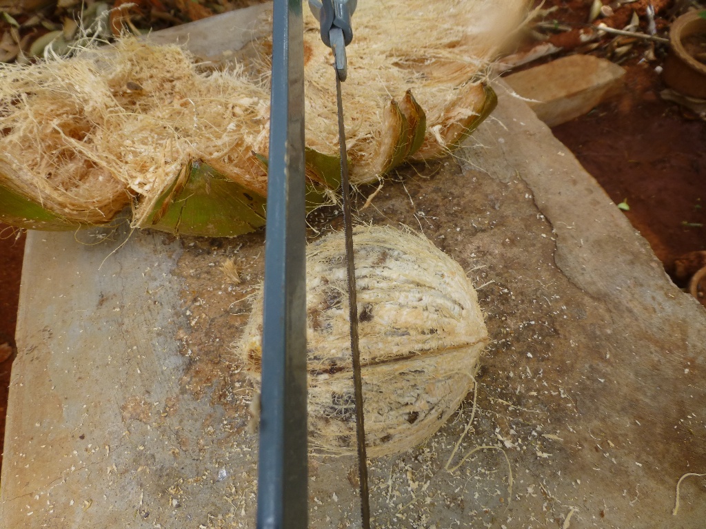 P1110444.JPG