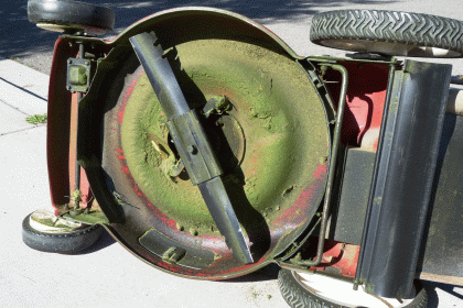 P1170686c.gif