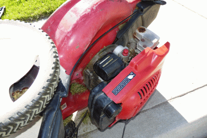 P1170691c.gif