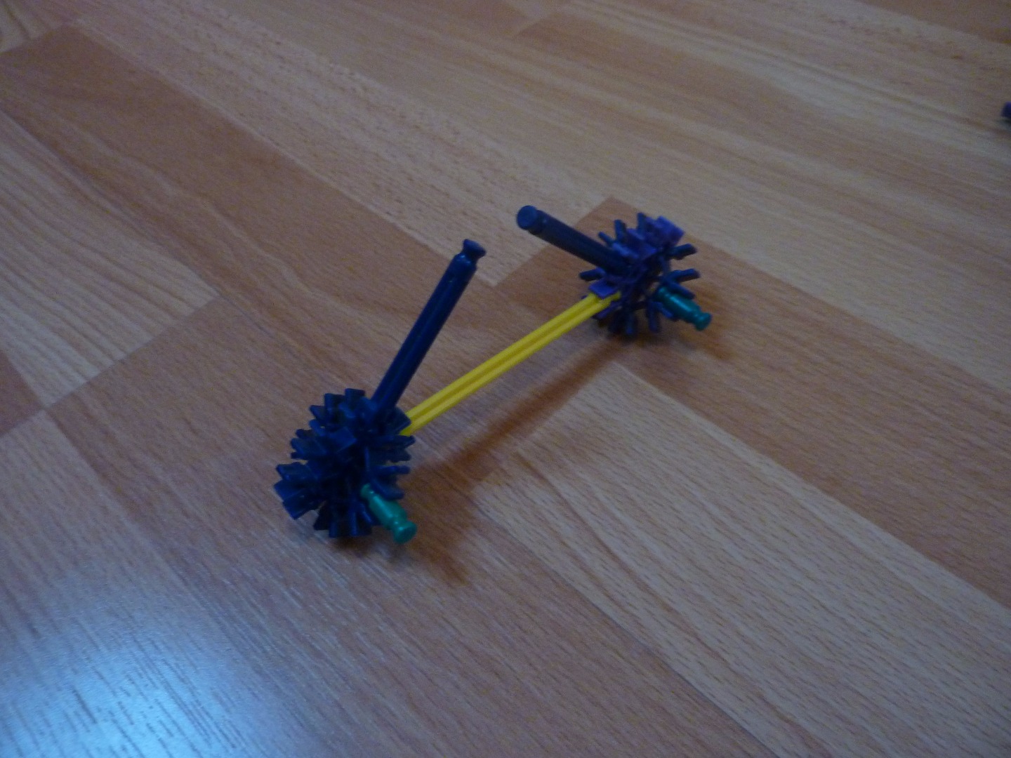 P1210092.JPG