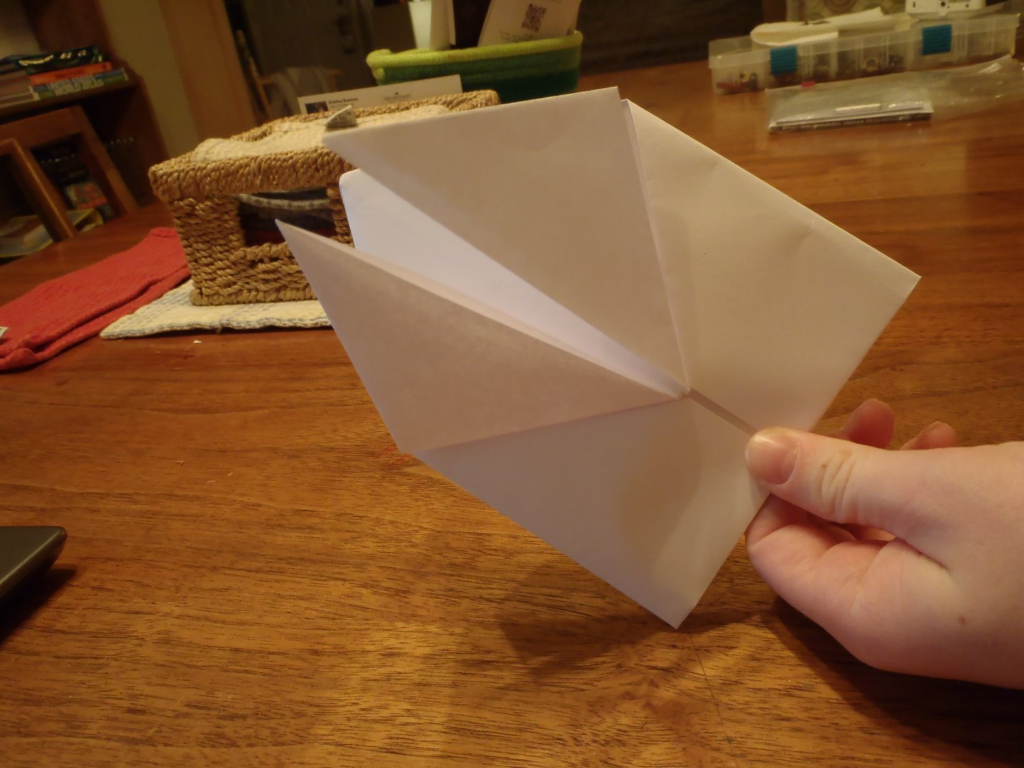 P1250017.JPG