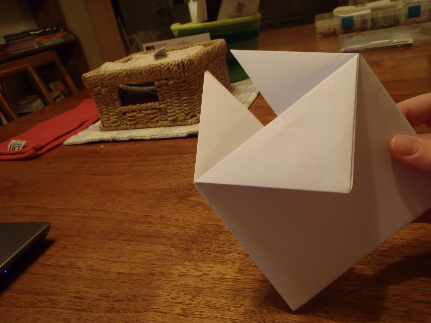 P1250019.JPG