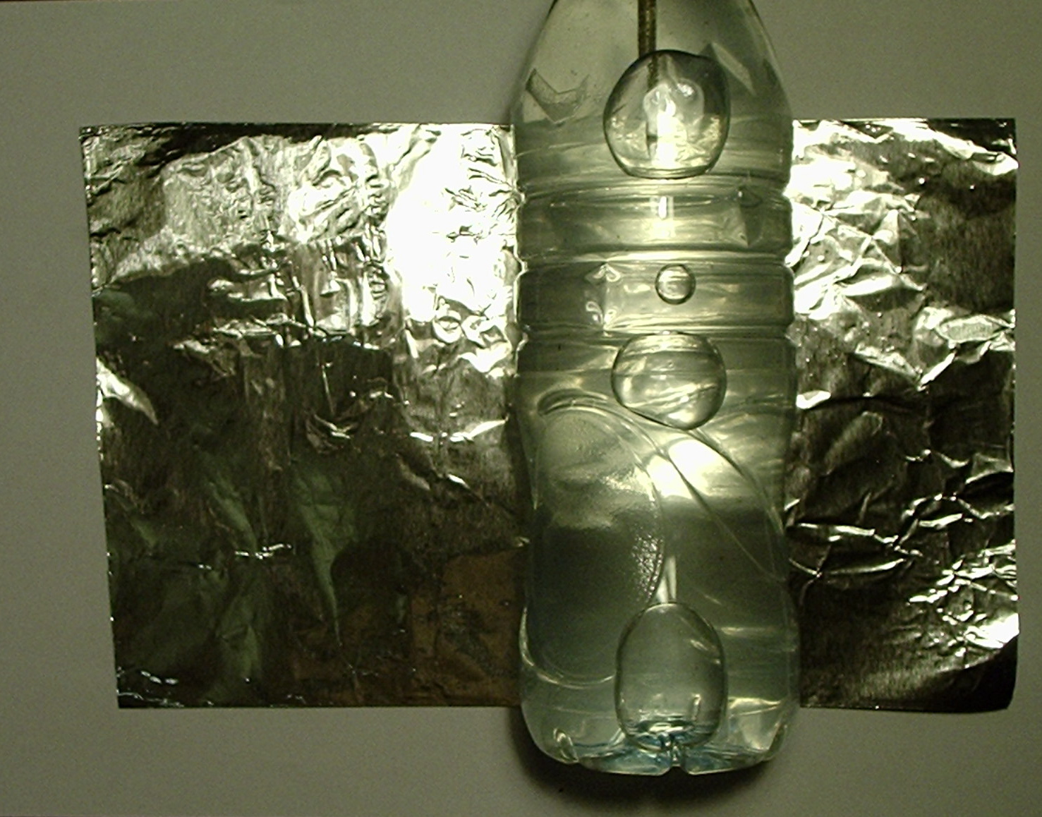 P2070002.JPG