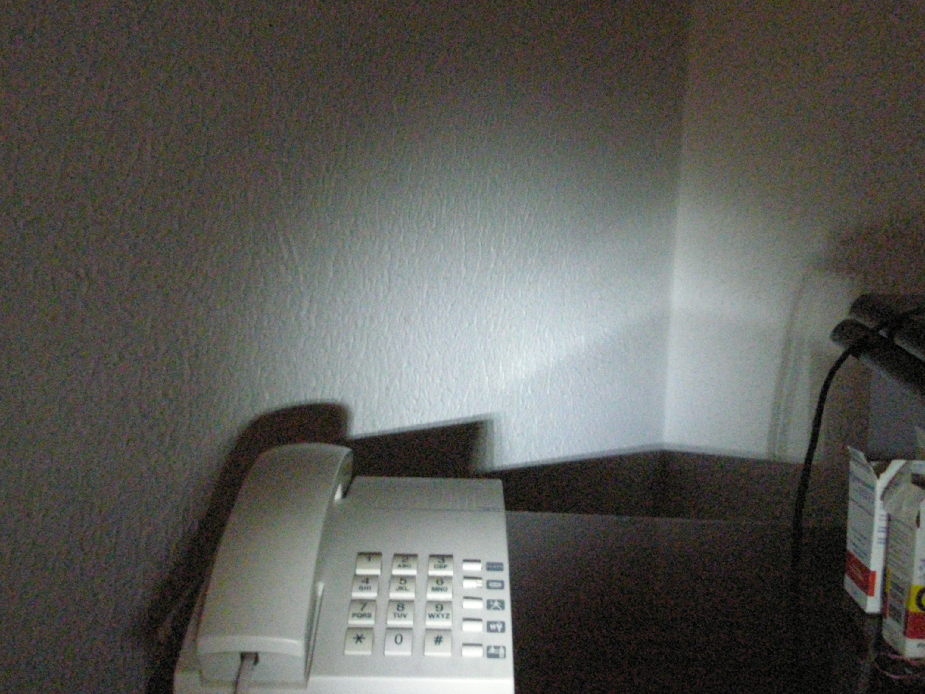 P6120019.JPG