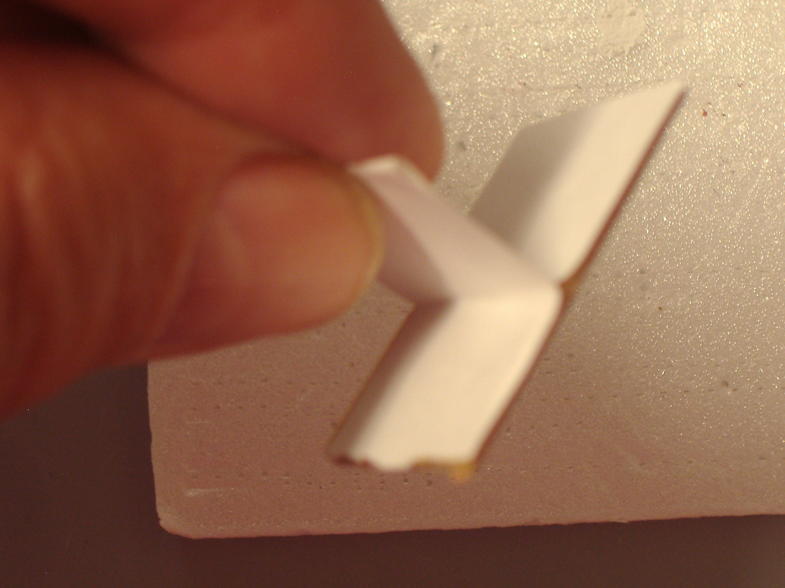 PA010003.JPG