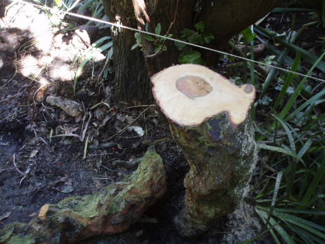 PA111901.JPG