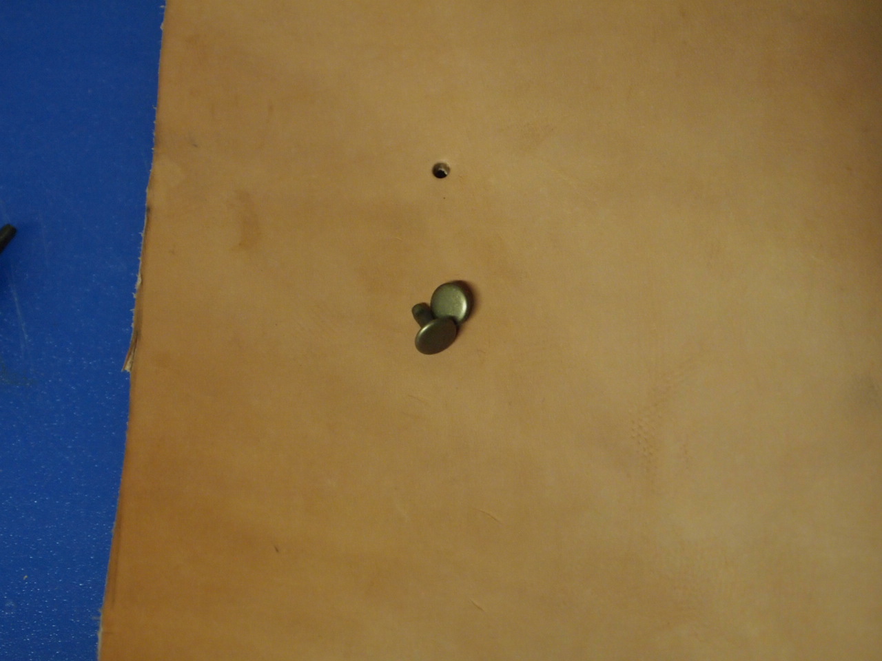 PA131774.JPG
