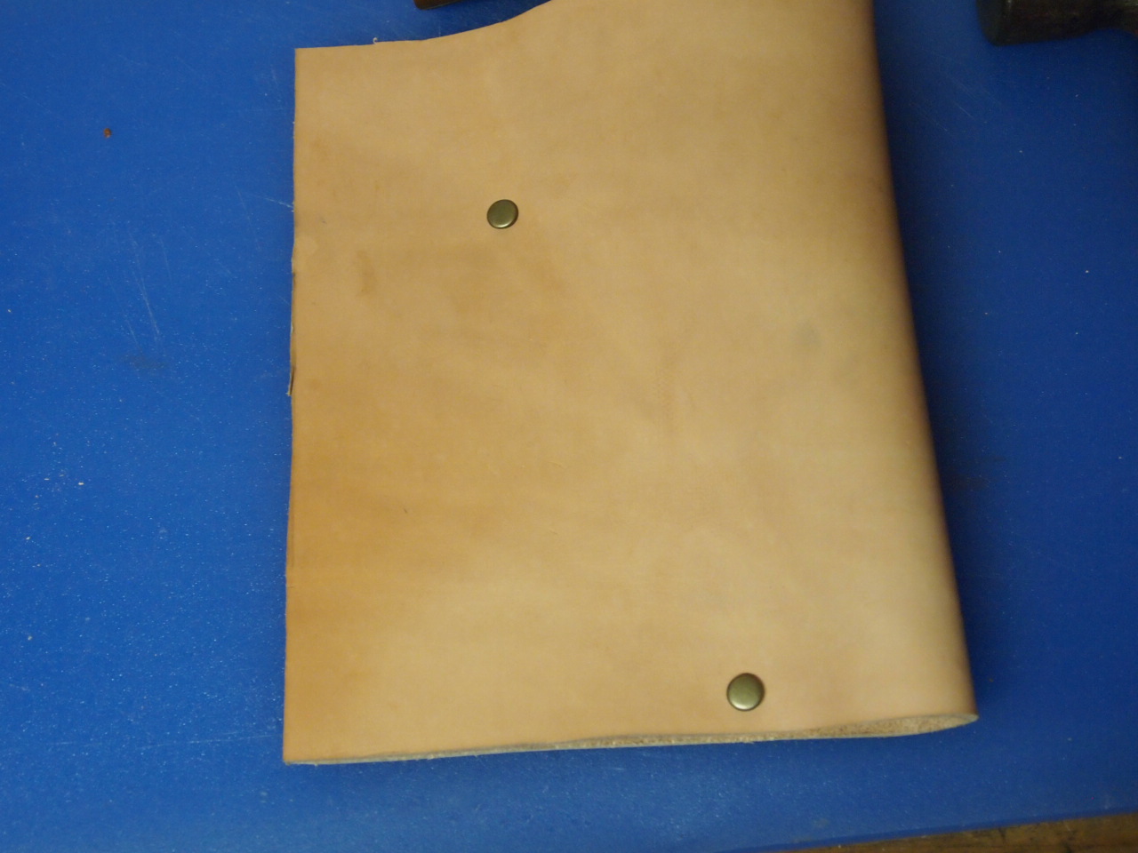 PA131776.JPG