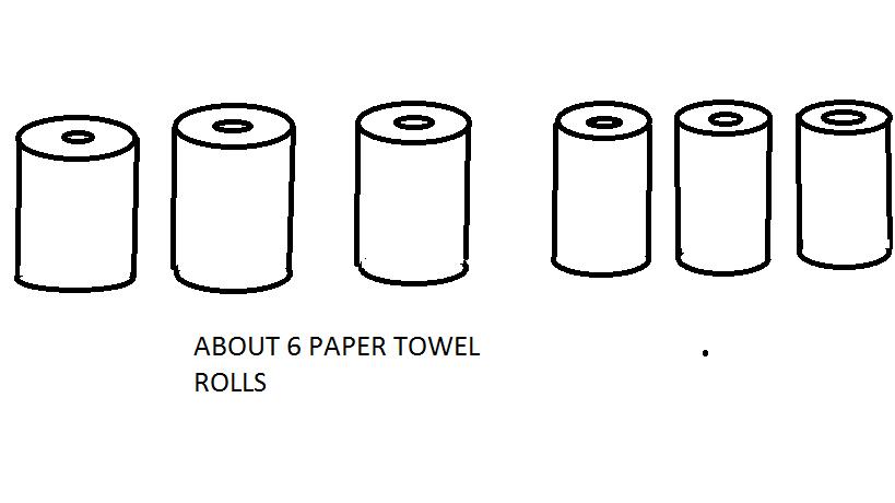 PAPER TOWELS.png