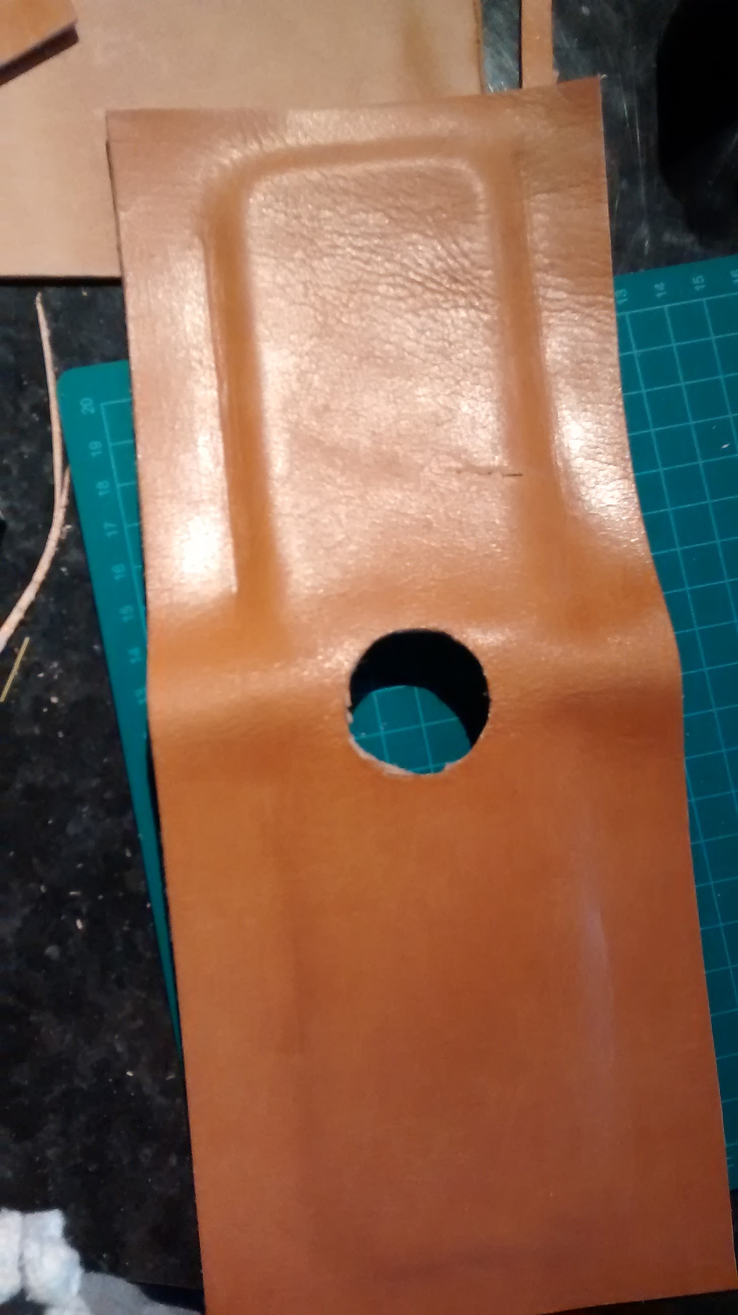 PH.CASE 4.jpg