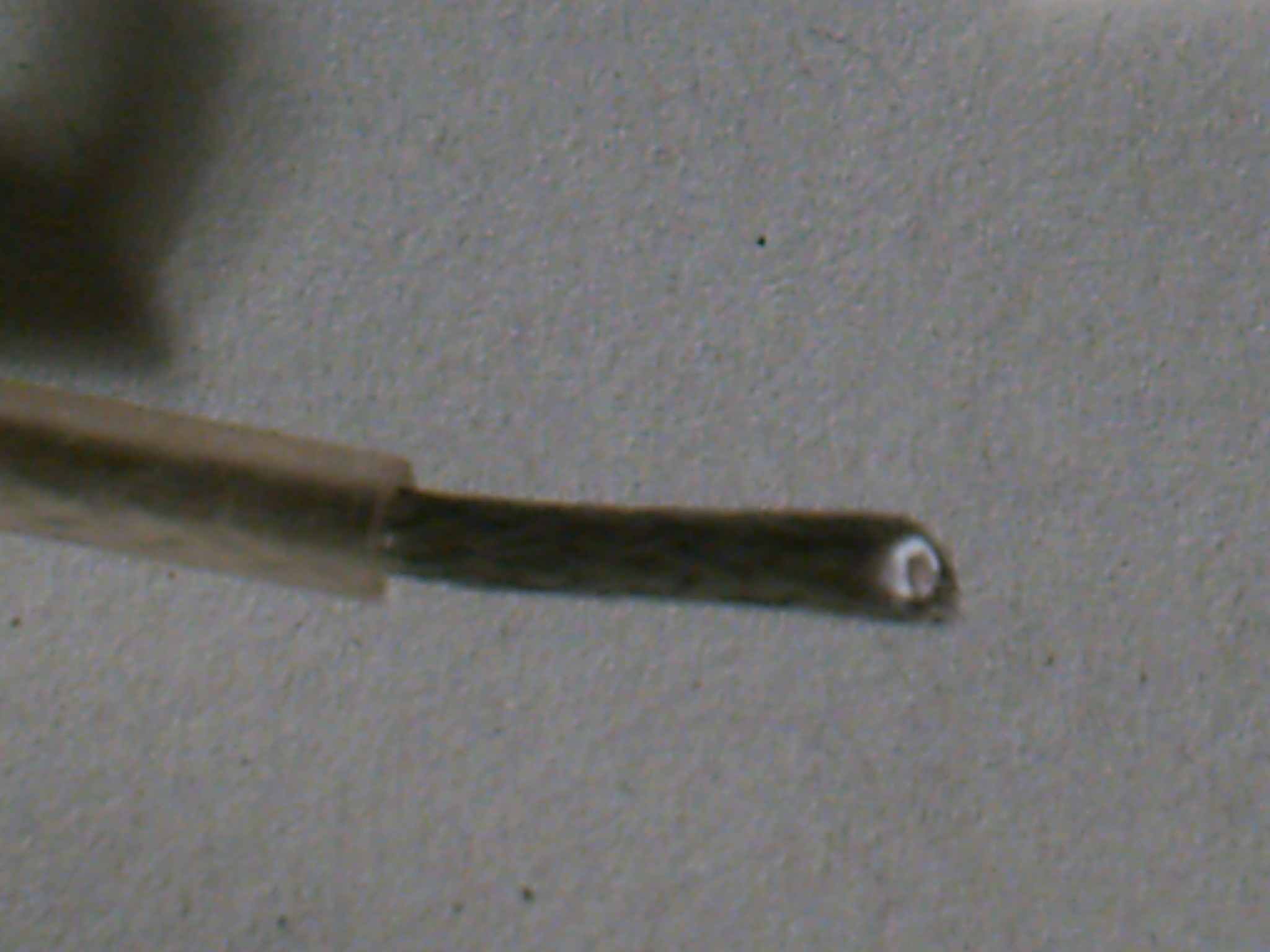PICT0031.JPG