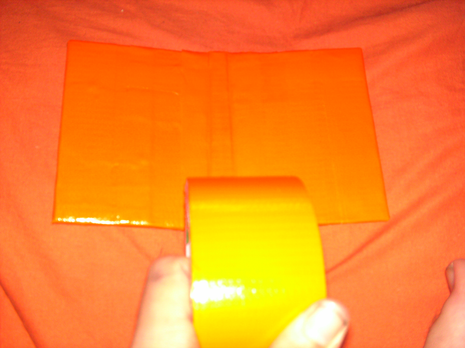 PICT0061.JPG