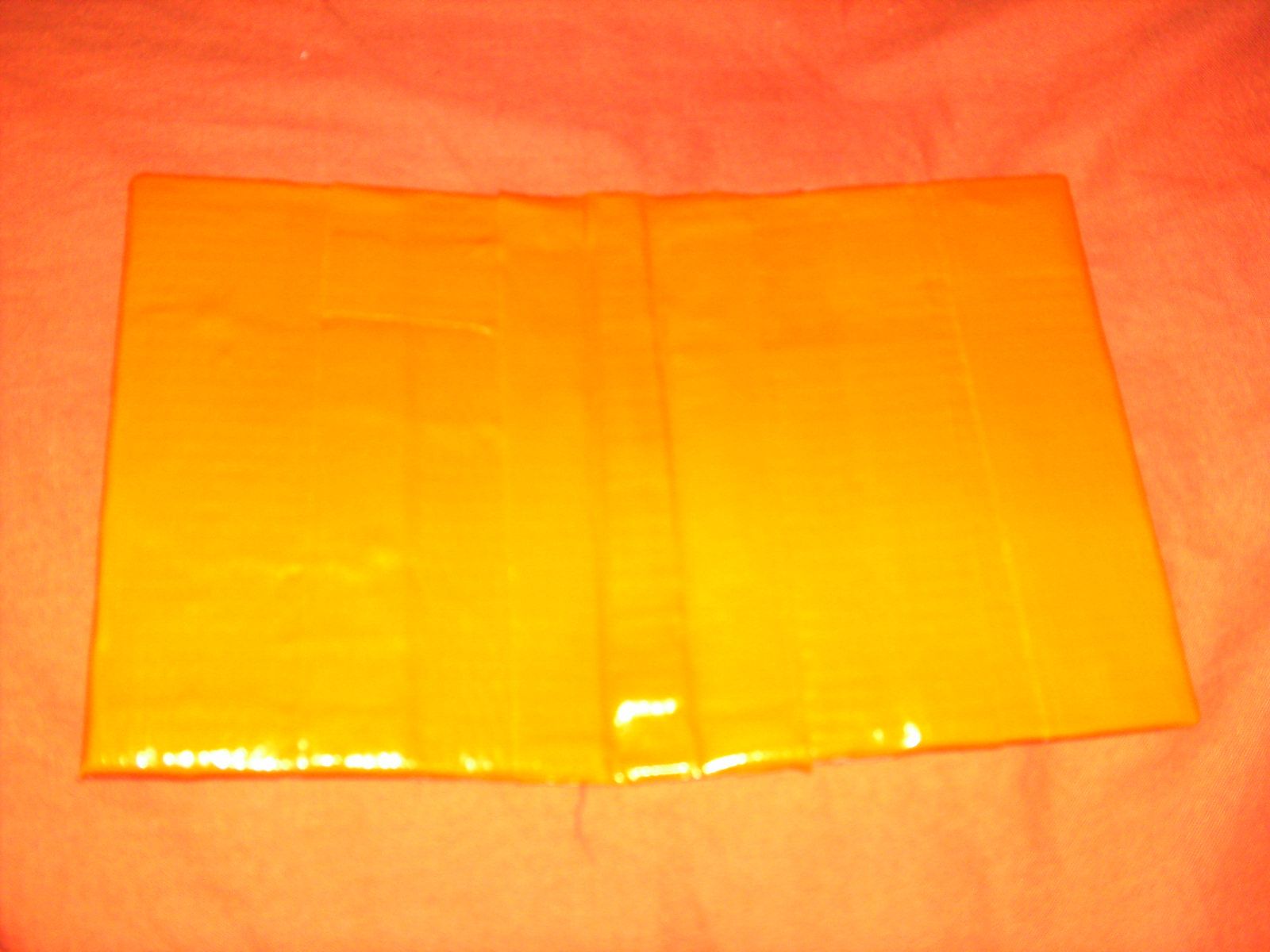 PICT0062.JPG