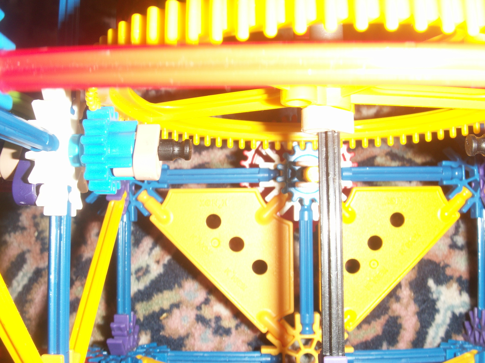 PICT0138.JPG