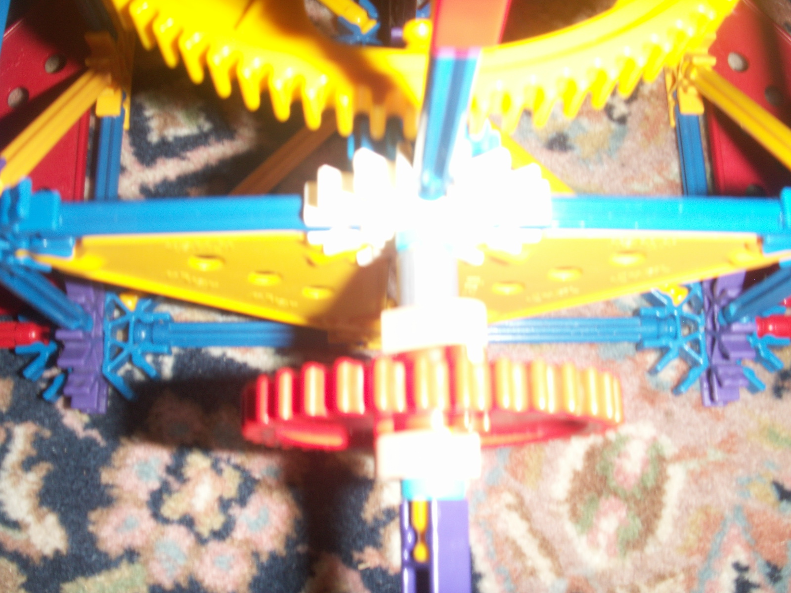 PICT0142.JPG