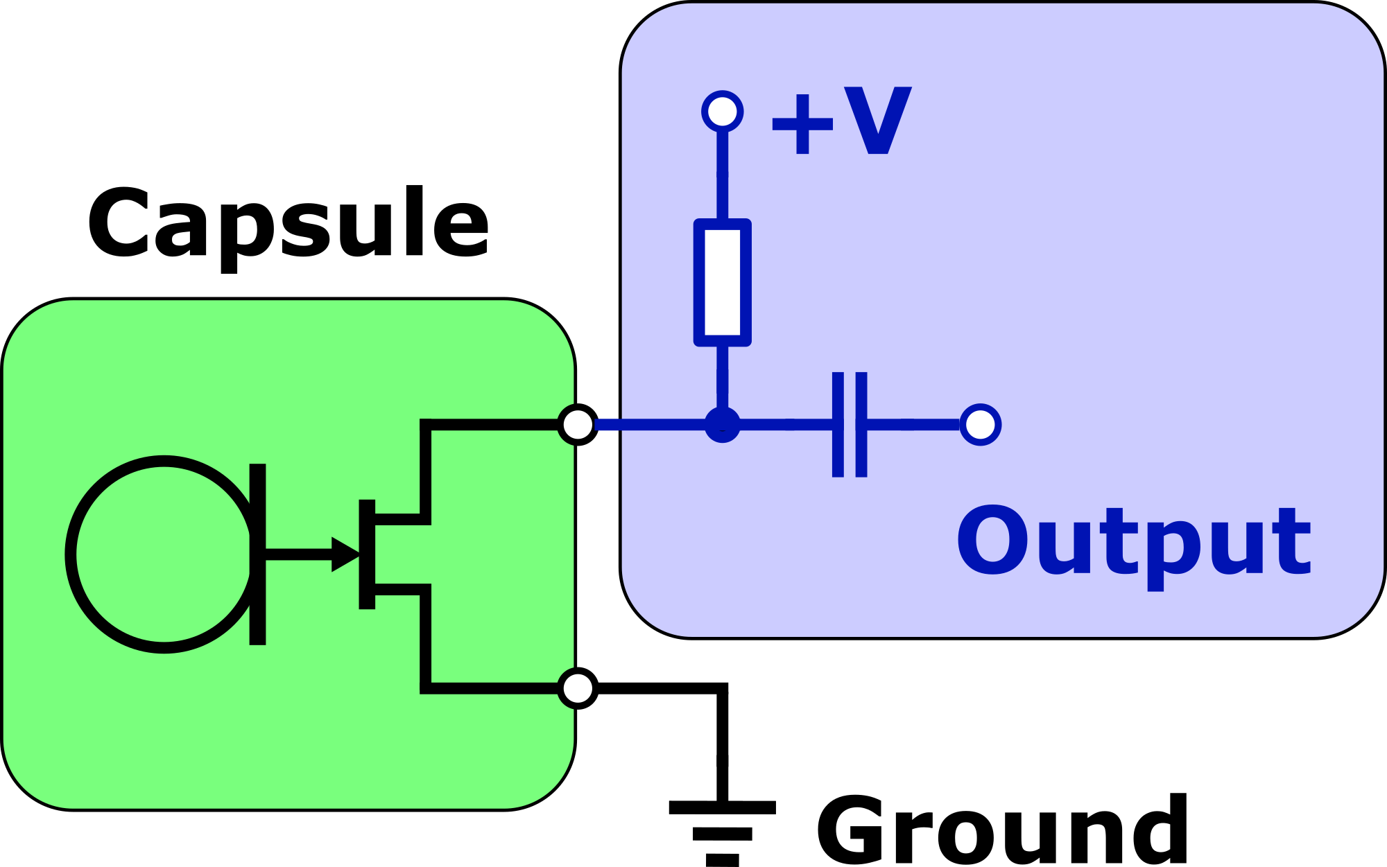 PIPDiagramTransparent.png