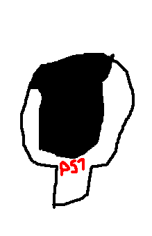 PS1 player for 3DS.PNG